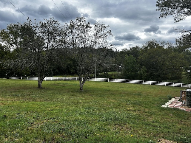 315 Loyd Rd, Pulaski, TN 38478 - view of yard