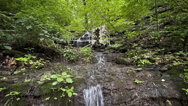 315 Loyd Rd, Pulaski, TN 38478 - view of nature