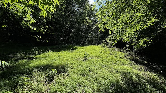 315 Loyd Rd, Pulaski, TN 38478 - view of undeveloped land
