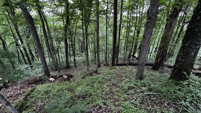 315 Loyd Rd, Pulaski, TN 38478 - view of tree filled area
