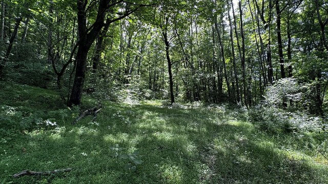 315 Loyd Rd, Pulaski, TN 38478 - view of wooded area