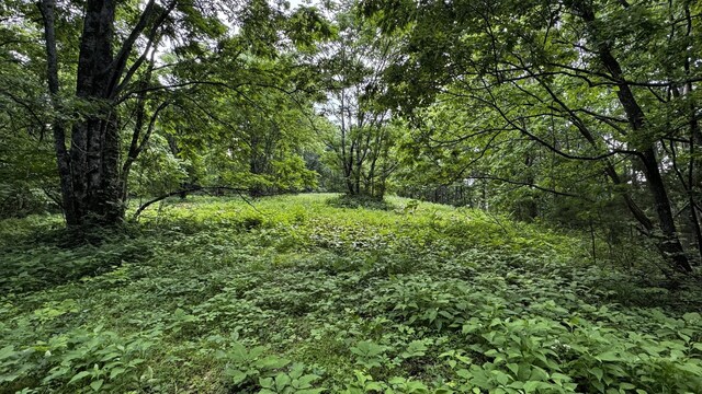 315 Loyd Rd, Pulaski, TN 38478 - view of tree filled area