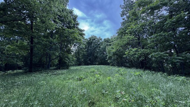 315 Loyd Rd, Pulaski, TN 38478 - view of wooded area