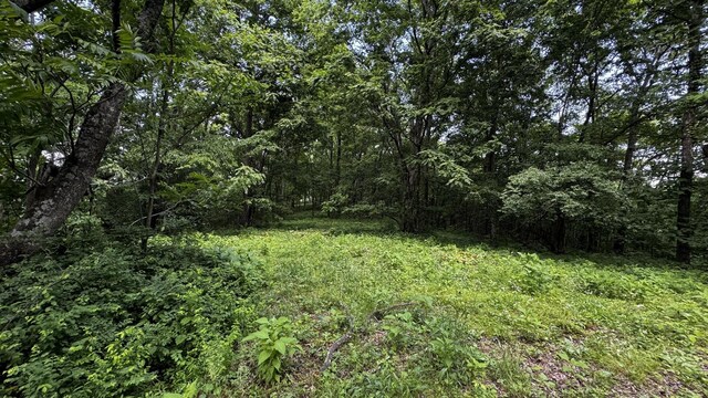315 Loyd Rd, Pulaski, TN 38478 - view of yard with a wooded view
