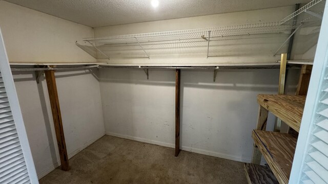 315 Loyd Rd, Pulaski, TN 38478 - walk in closet with carpet flooring