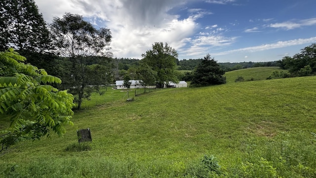 315 Loyd Rd, Pulaski, TN 38478 - view of green lawn with a view of rural / pastoral area