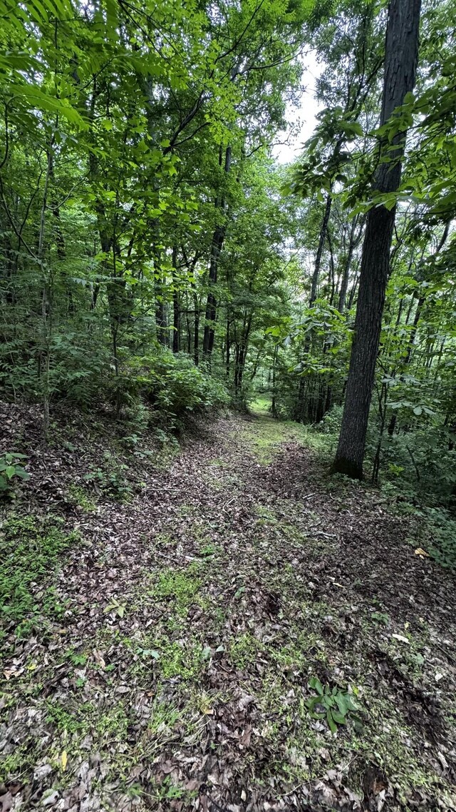 315 Loyd Rd, Pulaski, TN 38478 - view of tree filled area
