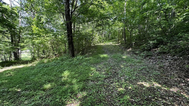 315 Loyd Rd, Pulaski, TN 38478 - view of woods