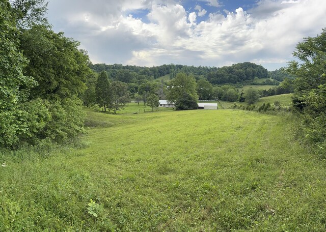 315 Loyd Rd, Pulaski, TN 38478 - view of grassy yard featuring a view of countryside
