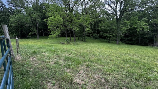 315 Loyd Rd, Pulaski, TN 38478 - view of yard