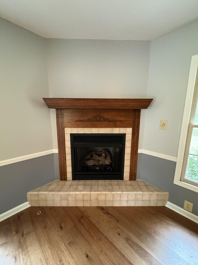 details featuring wood-type flooring and a fireplace