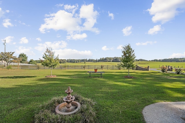 view of yard with a rural view