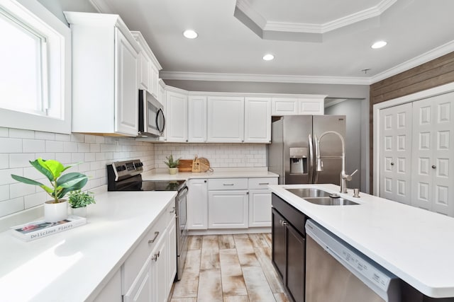 kitchen with white cabinetry, sink, crown molding, a tray ceiling, and appliances with stainless steel finishes