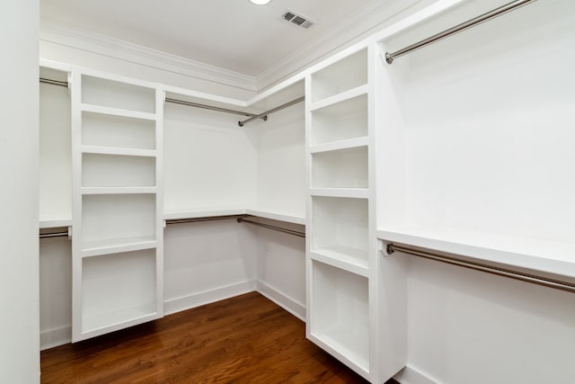 spacious closet featuring dark hardwood / wood-style floors