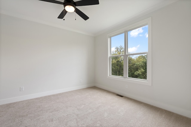 unfurnished room featuring carpet, ornamental molding, and ceiling fan