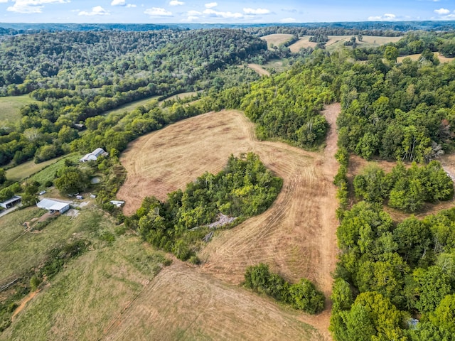 bird's eye view featuring a rural view