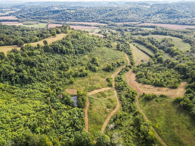 bird's eye view with a rural view