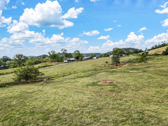 view of yard featuring a rural view