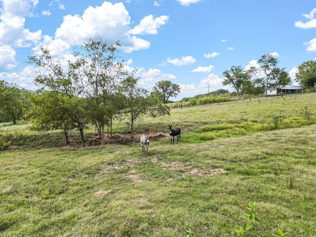 view of yard featuring a rural view