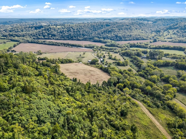 drone / aerial view featuring a rural view