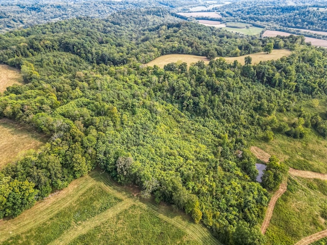 aerial view with a rural view