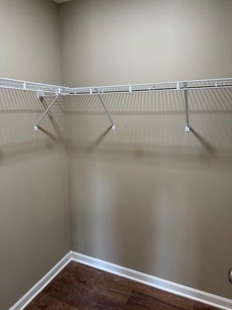 spacious closet featuring wood-type flooring