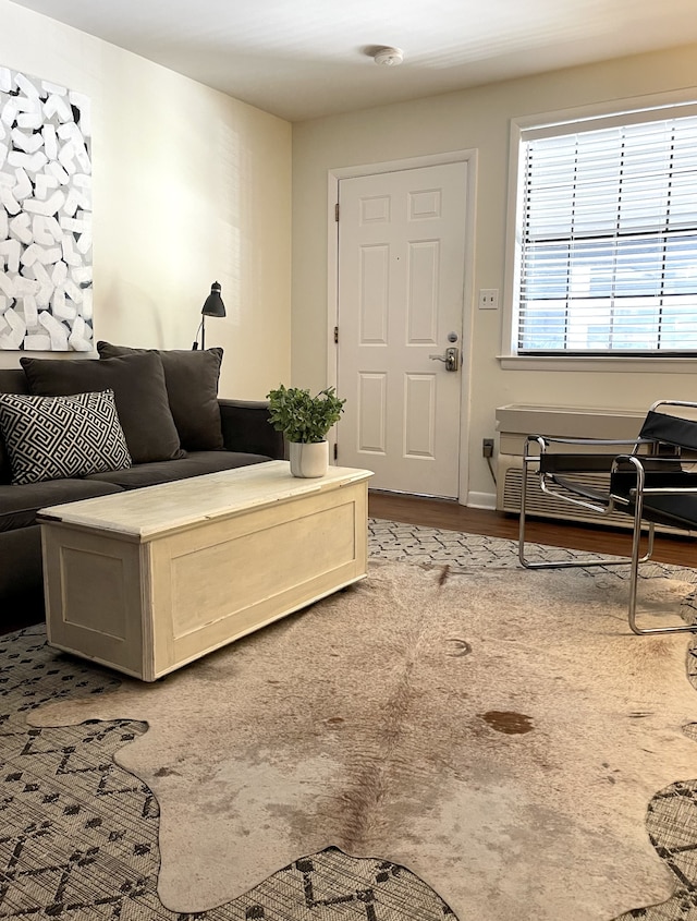 living room with light wood-type flooring