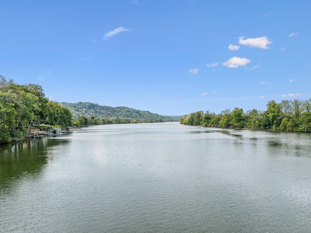 6637 River View Dr, Nashville, TN 37209 - photo 58