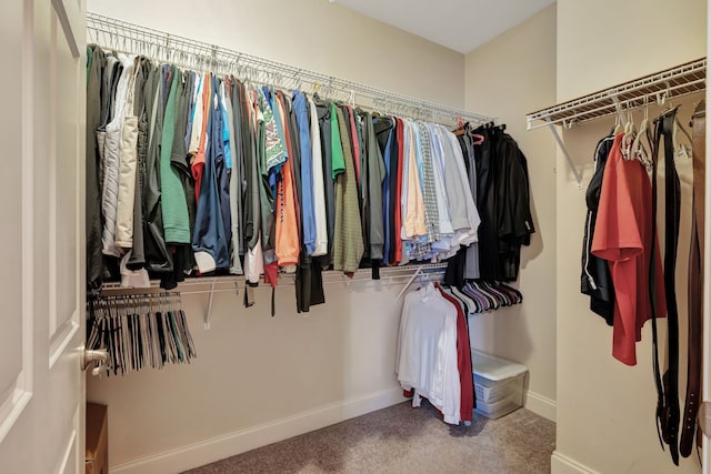 spacious closet featuring carpet flooring