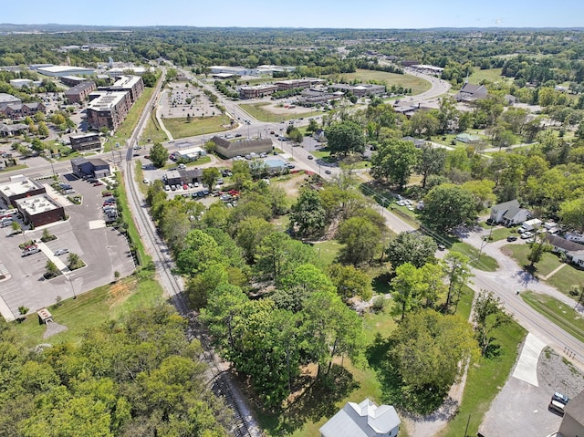 138 W Division St, Mount Juliet, TN 37122 - view of property location