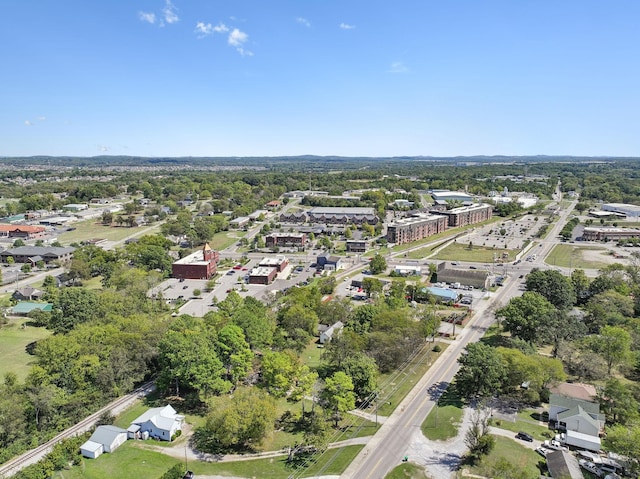 138 W Division St, Mount Juliet, TN 37122 - drone / aerial view of a tree filled landscape