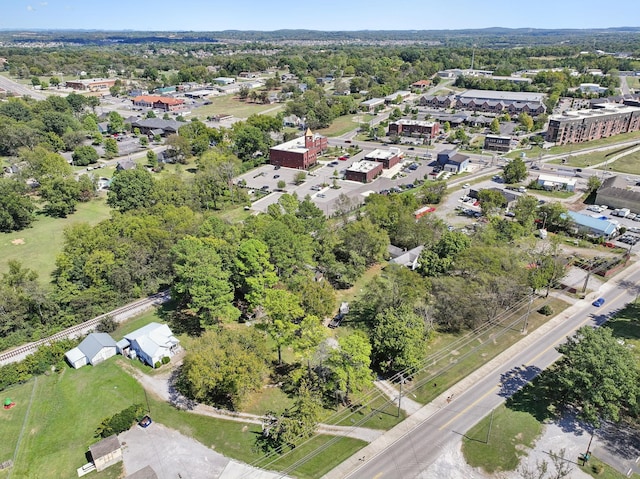 138 W Division St, Mount Juliet, TN 37122 - bird's eye view of a tree filled landscape
