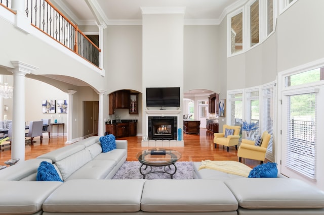 living room with light hardwood / wood-style flooring, a fireplace, ornate columns, and crown molding