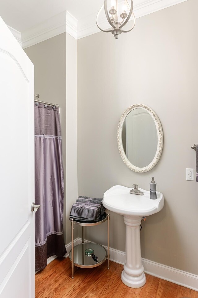 bathroom with ornamental molding and hardwood / wood-style floors