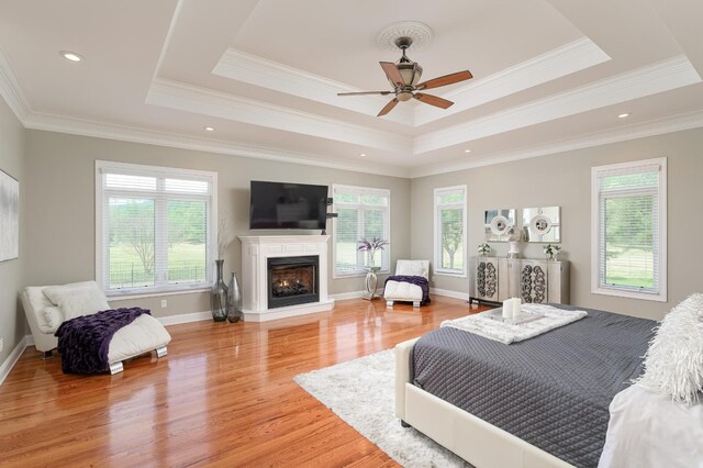 bedroom with multiple windows, a raised ceiling, hardwood / wood-style floors, and ceiling fan