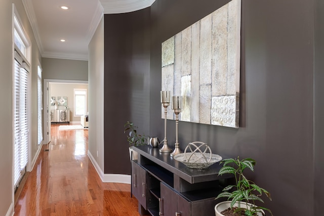 hallway featuring wood-type flooring and crown molding