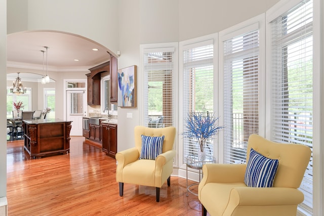 living area with light hardwood / wood-style flooring, ornamental molding, and sink