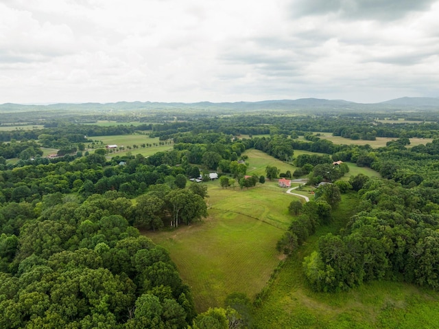 930 Kensington Rd, Chickamauga, GA 30707 - photo 11