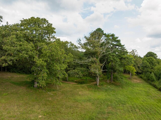 930 Kensington Rd, Chickamauga, GA 30707 - photo 75