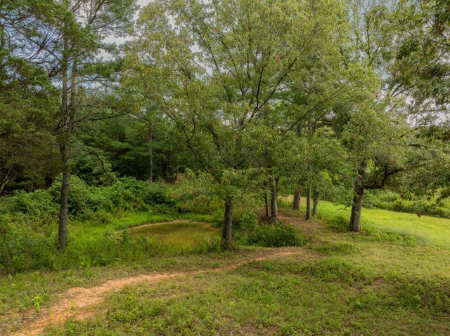 930 Kensington Rd, Chickamauga, GA 30707 - photo 76