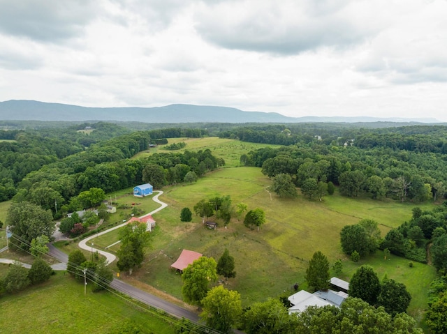 930 Kensington Rd, Chickamauga, GA 30707 - photo 5
