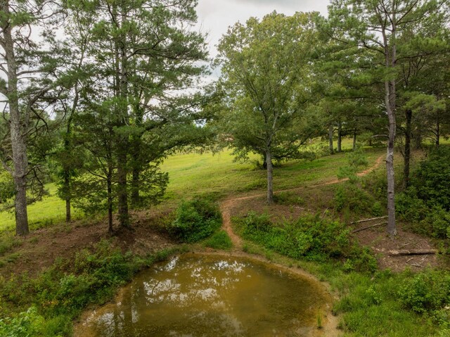 930 Kensington Rd, Chickamauga, GA 30707 - photo 77