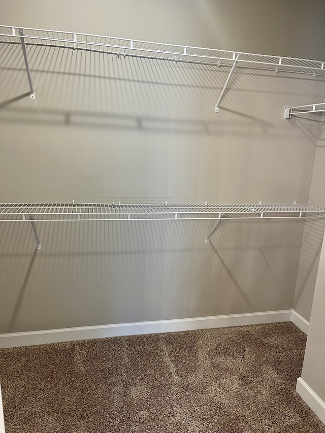 spacious closet with carpet flooring