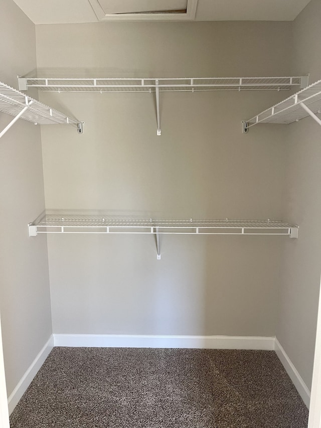 walk in closet with carpet flooring