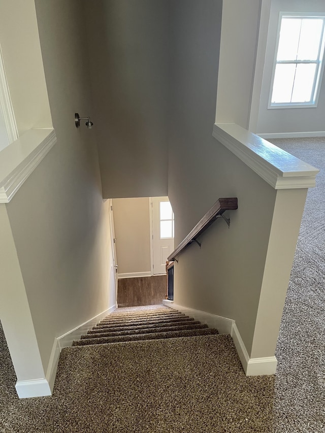 staircase featuring carpet flooring