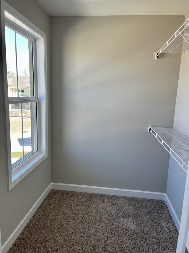 walk in closet with carpet flooring