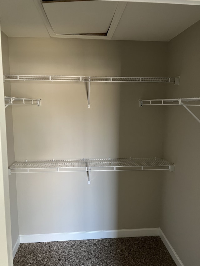 spacious closet featuring carpet floors