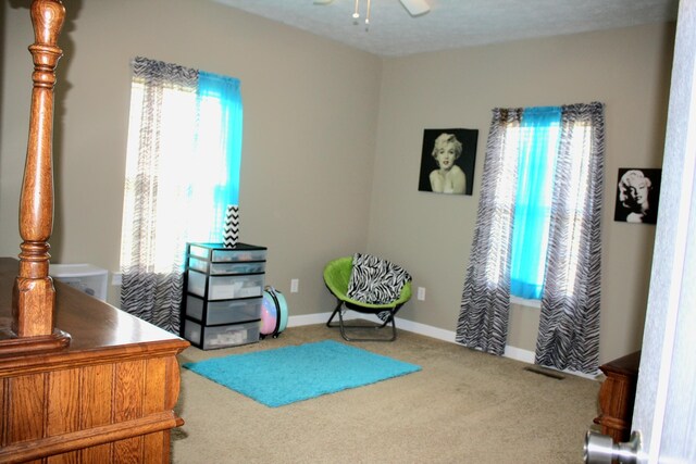 living area with a textured ceiling, a healthy amount of sunlight, carpet flooring, and ceiling fan