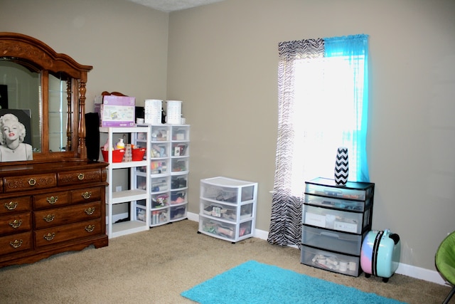 interior space featuring light carpet