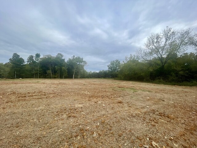 10400 Manchester Pike, Christiana, TN 37037 - photo 7